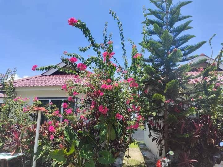 Langkawi Homestay Bunga Padi Kuah Exterior photo